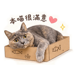 Nunu的生活日記～