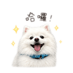 阿Q桶麵表情包