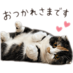 maru_20260515135151