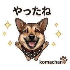 Expressive & Cute Rescue Dog Koma