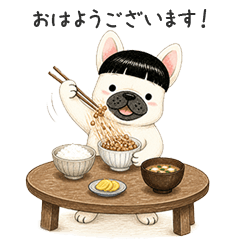 Mo the French Bulldog with Bangs