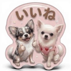 SHICHI&RUN