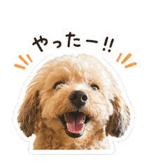 Cute Dog Stickers Jr