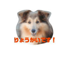 K_20260518140701