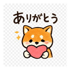 Shiba Inu Everyday Talk