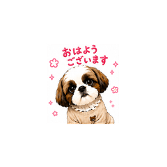 cute PONO 2