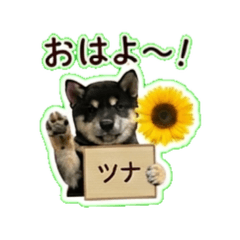 Tuna Daily Chat Stickers