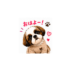 cute PONO 4