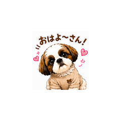 cute PONO 3