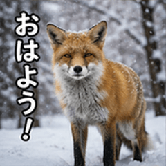 Everyday Fox Stickers