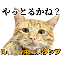LINE sticker of the cat Fuku.