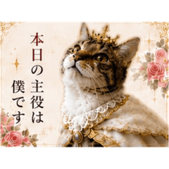 tatsu_20260518181554