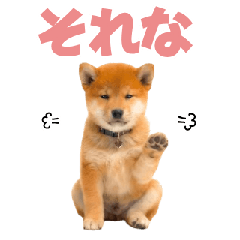 Relatable Shiba Inu Puppy Stickers