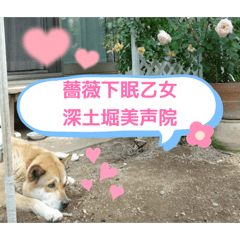 mu&kapu_20260504231631