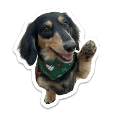 Dachshund Biscuit Stamp!