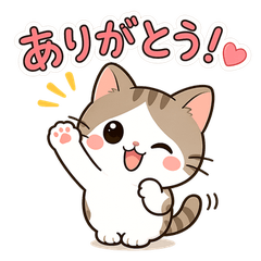 Everyday Yuru Cat!