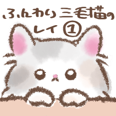 Fluffy Calico Cat Ray