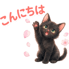 Black Kitten and Sakura Daily Stickers