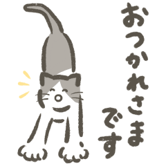 Everyone's cute cat