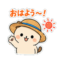 sweet cat summer