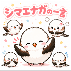 Shima-enaga Says!