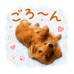 Choco Family Dog