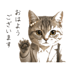 OL Daily Chat Stickers