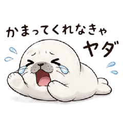 A cute, affectionate seal.