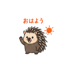 Porcupine Chat Stickers