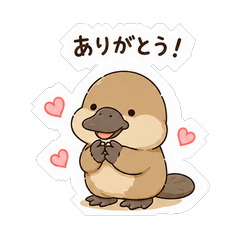 Fluffy Platypus Unique Cute Stickers