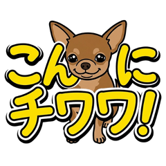 Chiwawa's Pun-derful Days & Emotions