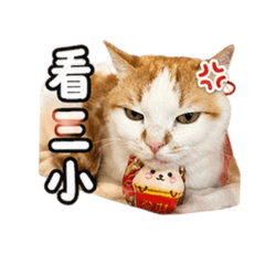Mai_Mai_0824