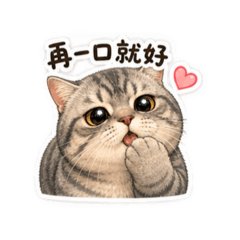 月半虎貓搞笑
