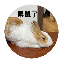努努日記