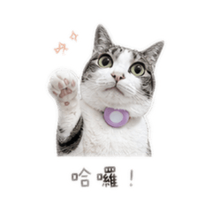 月半Uni