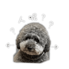 阿肥愛睡覺