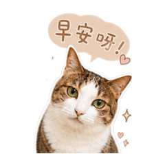 進一家