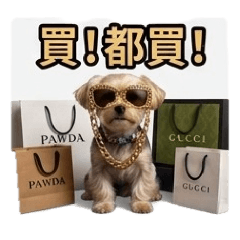 妞妞和波波