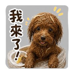 许家專屬Q版小狗
