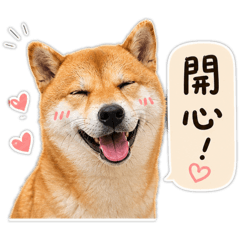 Q小弟表情包