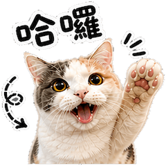 曼赤肯三花湯圓小公主