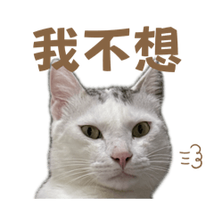 陳吉米出社會
