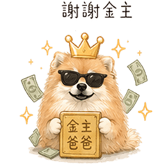 嘿皮寶貝日常用語
