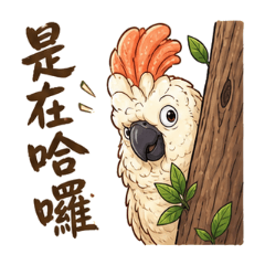 丹丹不是一隻雞