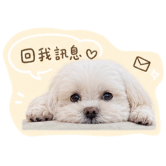萌弟第一彈
