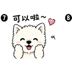 西高地小五