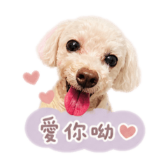 貝貝-日常用語