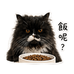 我是小日子ฅ^•ﻌ•^ฅ