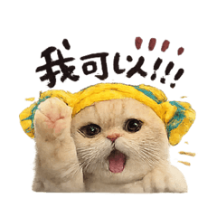 我愛我的貓I love my meow