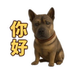 福言亂語